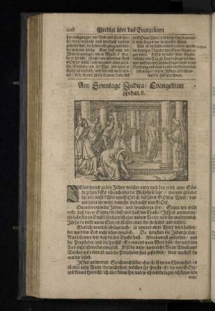 [Predigt/über das Evangelium. Am Sonntage Judica.]