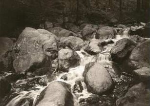 Landkreis Mittelsachsen. Muldental bei Rochsburg: Wasserfall an der Mündung des Brausetales