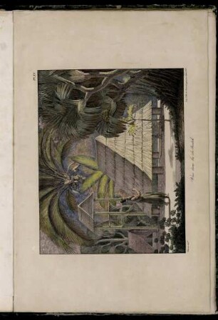 Pl. XV. Vue dans les iles Radak