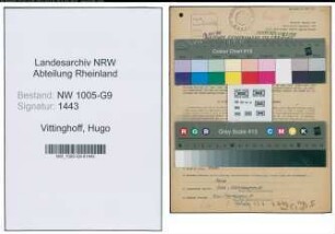 Entnazifizierung Hugo Vittinghoff , geb. 15.12.1894 (Stukkateur)