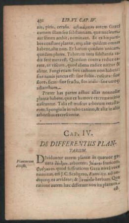 Cap. IV. De Differentiis Plantarum.