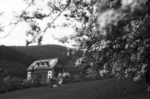 Glotterbad: Schwarzwaldklinik; Blick zum Sanatorium