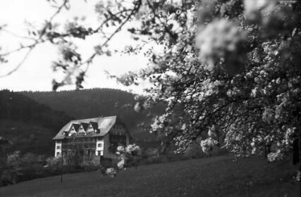 Glotterbad: Schwarzwaldklinik; Blick zum Sanatorium