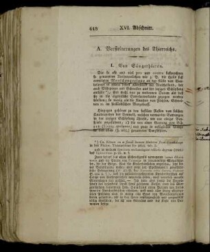 A. Versteinerungen des Thierreichs.