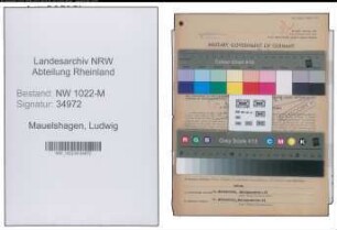 Entnazifizierung Ludwig Mauelshagen , geb. 01.08.1902 (Verwaltungsangestellter)