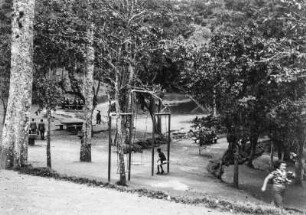 Schaukeln und Rastbänke : Ein Park mit Schaukeln und Bänken zwischen Bäumen.