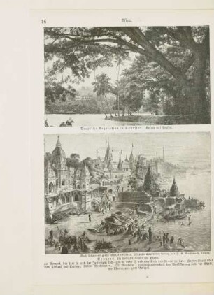 Tropische Vegetation in Südasien. Kandy auf Ceylon
