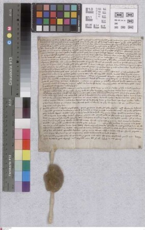 Raunheim: Dicta testium super libertatibus bonorum in Raunheim