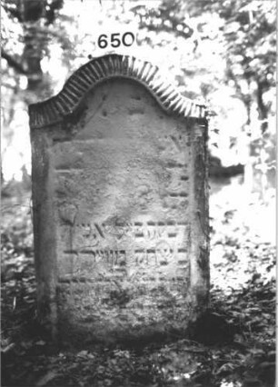 Grabstein 650 (Index: 99900599) Material: Sandstein Zustand: stark verwittert Maße HxBxT: 114x66x17 cm Beschreibung: Stele mit Konvexbogenabschluss, breiter Oberrahmen mit Zahnfries Symbolik: Zahnfries: Grabstein 650