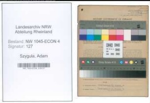 Entnazifizierung Adam Szygula , geb. 08.12.1888 (Fischhaendler)