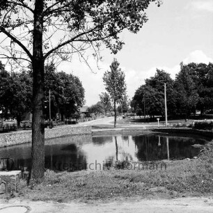 Dorfstraße: Dorfteich: vorn links Baum: daneben Mäuerchen: hinten Bäume und Häuser