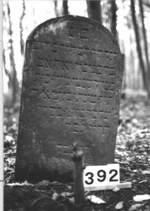 Grabstein 392 (Index: 99898321) Material: Sandstein Zustand: angewittert Maße HxBxT: 82x47x8 cm Beschreibung: Stele mit eingezogenem Rundbogenabschluss Besonderheit: Kindergrab: Grabstein 392