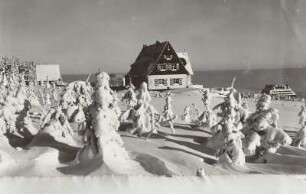 Altenberg, Gasthaus Sonnenhof oberhalb des Neuen Raupennestes im Winter