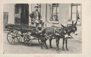 Neuer Leipziger Tierschutzverein [Leipziger Strassenbild]