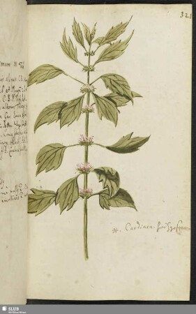 [Blatt 321-340]