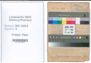 Entnazifizierung Peter Knieper , geb. 06.08.1901 (Fahrer)