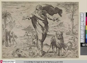 [La création des animaux; Gott erschafft die Tiere]