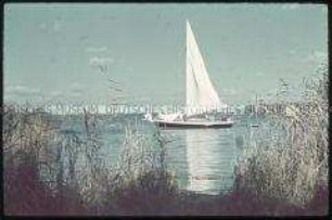 Segelboot
