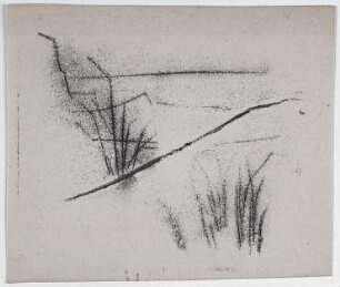 [o.T.]. Gräser