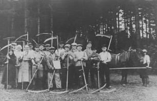 Gegenseitige Hilfe der Kleinbauern im Erzgebirge - Getreidemahd mit der Wurfsense : Gegenseitige Hilfe der Kleinbauern im Erzgebirge