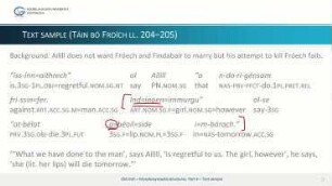 Old Irish – Morphosyntactic structures, Part 4: Text Sample: Táin bó Froích 204–205