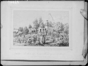 Schillers Pavillon auf Körners Weinberg in Loschwitz : Dresden-Loschwitz, Schillerhäuschen in Körners Weinberg während der Weinlese