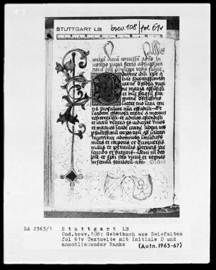 Gebetbuch aus Zwiefalten — Initiale D mit aschließender Ranke, Folio 61verso