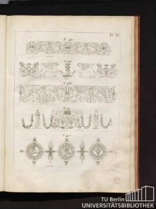 Pl. 36.