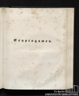 Kryptogamen.