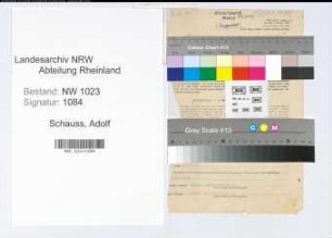 Entnazifizierung Adolf Schauss , geb. 11.01.1891 (Finanzinspektor)