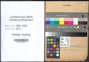 Entnazifizierung Hedwig Kriebel , geb. 00.00.0000 (Witwe)