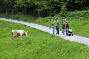 Spaziergänger : Spaziergänger betrachten eine Kuh auf einer Bergwiese. Aufgenommen im Stilluptal bei Mayrhofen (Tirol) am 28. Mai 2009