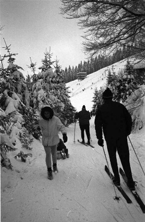 Skifahren im Schwarzwald.