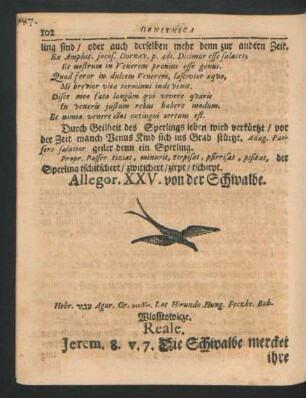 Allegor. XXV. von der Schwalbe.