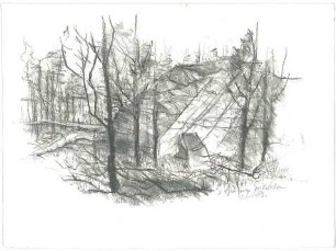 Gsaenger, Gustav; Landschafts - und Gebäudestudien - Waldlandschaft (Studie)