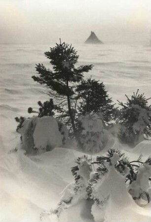 Altenberg (Erzgebirge). Am Großen Galgenteich. Starke Schneeverwehungen
