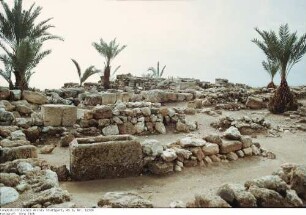 Israel: Megiddo