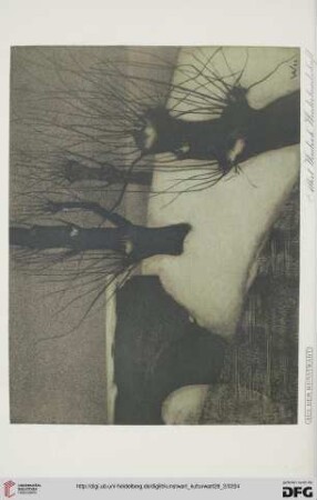 Heft 11 (1. Märzheft 1915)