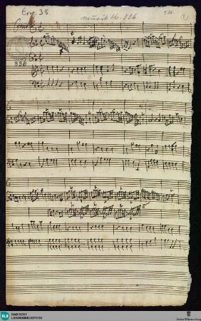 Concertos - Mus. Hs. 336 : cor, vl (2), vla, b; D; BrinzingMWV 6.35