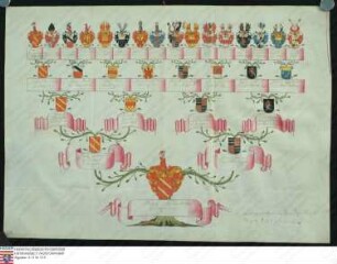 Ahnenprobe des Wilhelm Anton v. Hutten z. Stolzenberg. - ausgefertigt 1733 November 26, Pergament