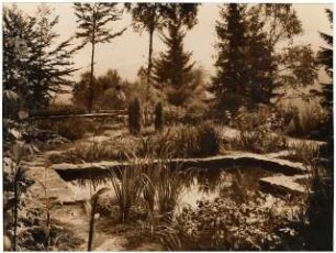 Garten Zierhut Böhmerwald: Wasserbecken
