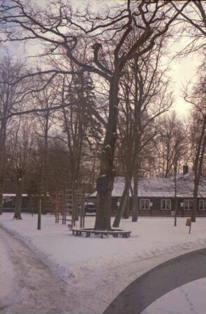 Bürgerpark: Grünanlage zwischen Exer-Parkplatz und Innenstadt: "Abendmahlseiche": an Stamm Metallschild, an Fuß Rundbank: Kinderspielgeräte, hinten flaches Gebäude: Schnee