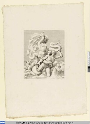 Scylla