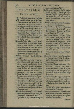 De Lusoriis. Caput XXXIV