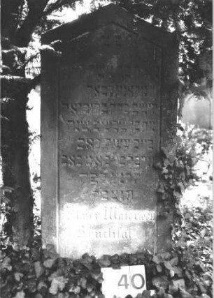 Grabstein 240 (Index: 100082198) Material: Sandstein Zustand: leicht verwittert Maße HxBxT: 118x51x12 cm Beschreibung: Stele, giebelartiger Abschluß, Schriftfeld eingetieft: Grabstein 240 (1)