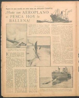 ¡Hasta con aeroplano se pesca hoy la ballena! : Según se nos revela en esta nota de Julian Campos