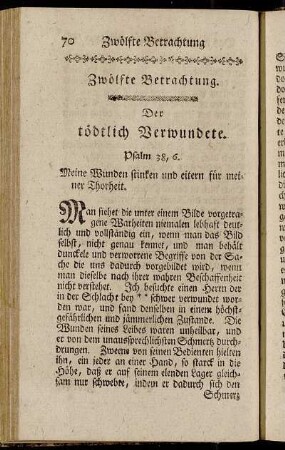Zwölfte Betrachtung. Der tödtlich Verwundete