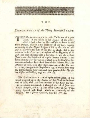 The Description of the Thirty Seventh Plate
