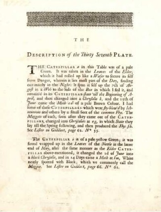 The Description of the Thirty Seventh Plate