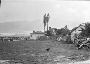 Sofia: Wiese und Häuser auf dem Südhang von Sofia, mit Witoscha[gebirge], Vordergrund Huhn